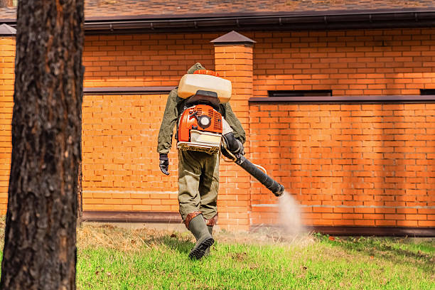 Trusted Termite Control service in Orchard Mesa, CO - Nex Pest Control